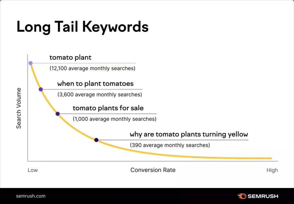 검색량과 전환율에 따른 'Long Tail Keywords' 그래프. 'tomato plant'(월 12,100회), 'when to plant tomatoes'(월 3,600회), 'tomato plants for sale'(월 1,000회), 'why are tomato plants turning yellow'(월 390회) 등 토마토 관련 키워드가 곡선을 따라 배치됨.